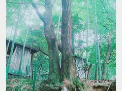 -宝岩生态观光园