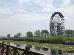 -太湖湖滨国家湿地公园-停车场