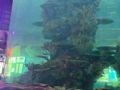 -青岛嘉年华主题乐园