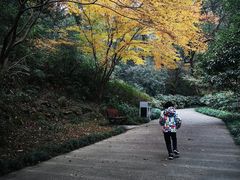 -杭州少年儿童公园