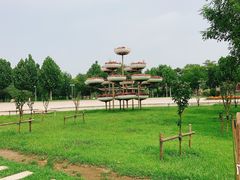-武清南湖绿博园