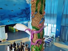 -芜湖新华联大白鲸海洋公园