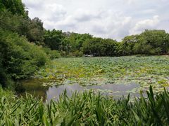 -云溪植物园