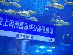 -上海海昌海洋公园