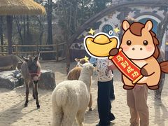 -茅山东方盐湖城景区