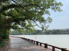 -西湖公园(鼓楼区)
