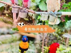 -南宫五洲植物乐园