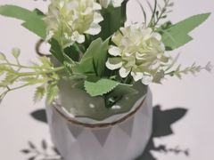 -大鸭梨烤鸭(枣园店)