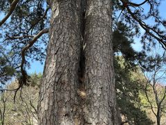 -终南山南五台景区