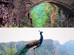 -苍岩山风景名胜区