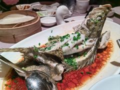 -金鸭季·北京烤鸭(深业上城店)