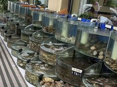 -京秀缘蒸汽海鲜农家菜大馅蒸饺