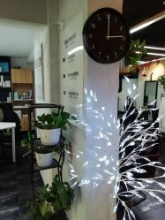 -AFA Hair studio·女士发型设计