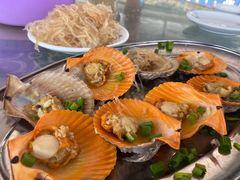 蒜蓉粉丝蒸扇贝-七鲜渔港美食餐厅(巽寮湾海景店)