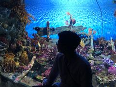 -暹罗海洋世界