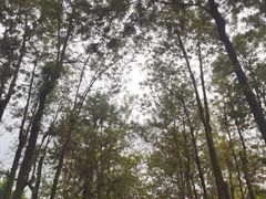 -南宁南湖公园