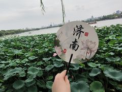 -济南大明湖景区