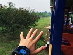 iphone_upload_pic-永定河休闲森林公园