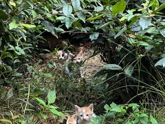 -敬亭山风景名胜区