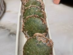 江南绿茶饼-绿茶餐厅(西单老佛爷店)
