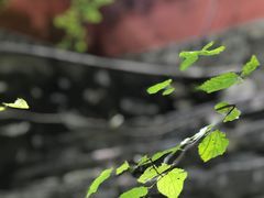 -北京上方山国家森林公园