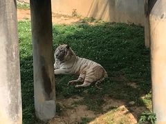 -无锡动物园·太湖欢乐园