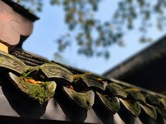 -慧因高丽寺