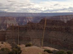 -科罗拉多大峡谷