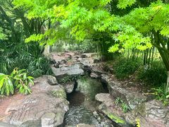-龙头寺公园