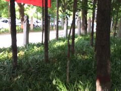 -西安关中民俗艺术博物院