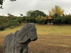 -雨花胜境