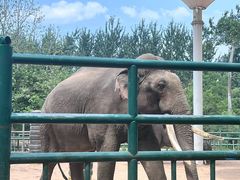 -秦皇岛野生动物园