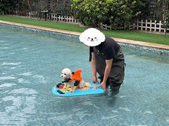 -汪说喵讲宠物乐园宠物酒店(红星美凯龙店)