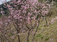 -小南山公园
