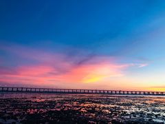 -宝安西湾红树林湿地公园