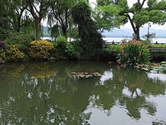 -杭州西湖柳莺里酒店·闻莺厅