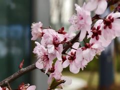 -外高桥保税区南(地铁站)