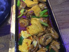 -雀舞云南菜(乐客城店)