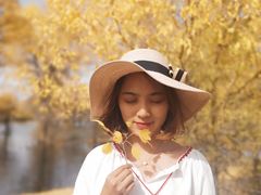 -金塔沙漠胡杨林景区