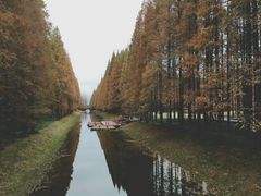 -黄海国家森林公园