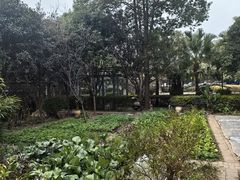 -故乡缘·香格里拉山庄(冷竹路店)
