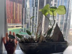 -周忆刺青原创设计定制