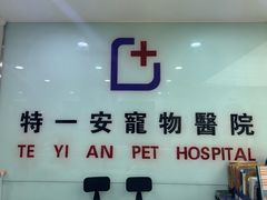 -特一安24小时宠物医院·骨科·中兽医