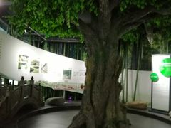 -天目湖御水温泉·度假酒店