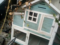 -喵屿·大理花园猫咖