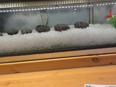 -万鱼亭 日本料理(无锡香山名园店)