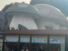 -自然谷恐龙园