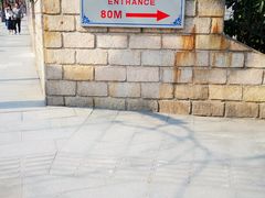 -嘉定紫藤园