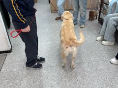 -四月宠物医院·猫专科·心脏专科·内科(转塘店)