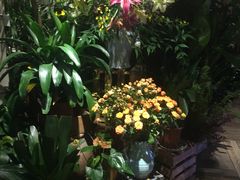-春暖花开(西溪店)